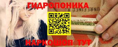 эйфоретик Бузулук
