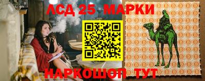 бошки Будённовск
