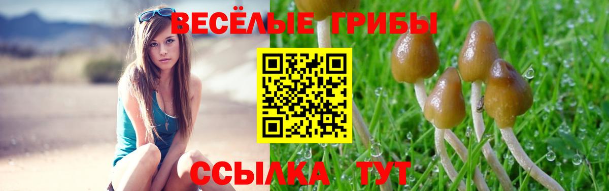 Псилоцибиновые грибы прущие грибы  Вход с VPN  Галлюциногенные грибы GOLDEN TEACHER  Урюпинск 